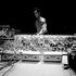 Steve Reich 的头像