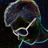 Avatar für baziowaty