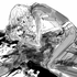 Avatar for Afortunity9