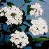 Avatar de michelle_mere