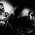 Avatar de Mastodon
