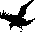 Avatar for Munin5