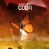 Avatar for IRRELEVANT CODA