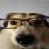 Avatar for WormInSpace