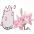 Awatar dla miau_miau222
