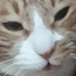 Avatar for deephwi
