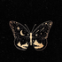 Avatar for indiechick