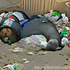 trashsleeperr için avatar