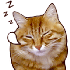 Avatar for landonhlong