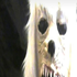 deadnlazy 的头像