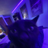 Avatar for SquashBillions