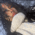 Avatar for cutestdeadgirl