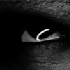 Avatar di cokedemon