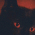 Avatar for nmc_