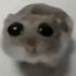 Wifels 的头像