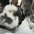 KookieStreamer 的头像