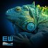 EW Live from NY hosted by Overfiend 的头像