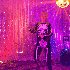 Avatar for ParidoPorGatos