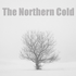 thenortherncold 的头像