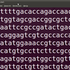 terminalGenome için avatar