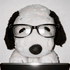 Avatar for freenowture