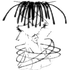 DoccusPoccus 的头像