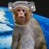 Avatar de Orbital_Monkey