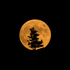Avatar for Apparatisdrov