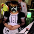 Avatar for aamyking