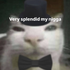 Avatar de schwampfkraut
