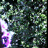 Avatar for broodsmusic