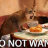 Avatar for suffocatedvoice