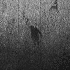 Avatar for TheWallWalker