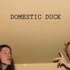 Avatar for domestic duck