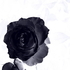 Avatar de nhs_Blackrose