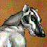 Avatar for thisisbadger