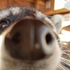 Avatar for Taquitoooooo