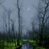 Avatar für Abendnebel