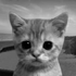 Avatar for Apm02
