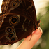 Avatar for jesisathing