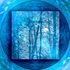 Аватар для Blue Forest