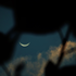 nouvelle_lune için avatar