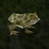 Avatar for wizardfry