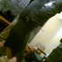 Awatar dla new_me