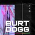 Avatar for Burt Dogg