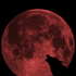 Avatar for Dark_witchy