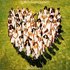 Avatar für Love Unlimited Orchestra