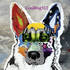 Аватар для CoolDog312