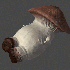Avatar for wakingforwinter