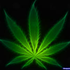 Avatar for SweetReggae420